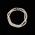 480933 Pearl necklace